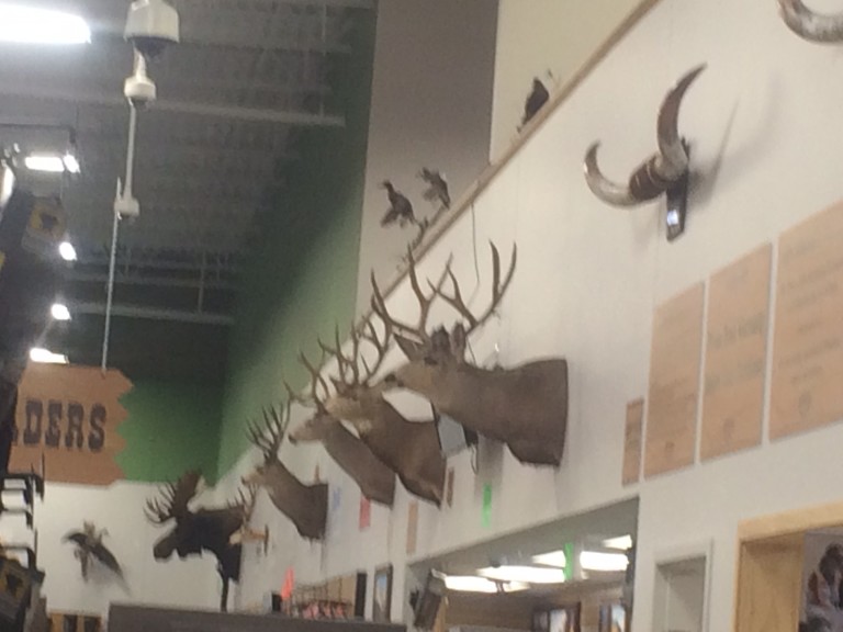 Fresno's Sportsman's Warehouse