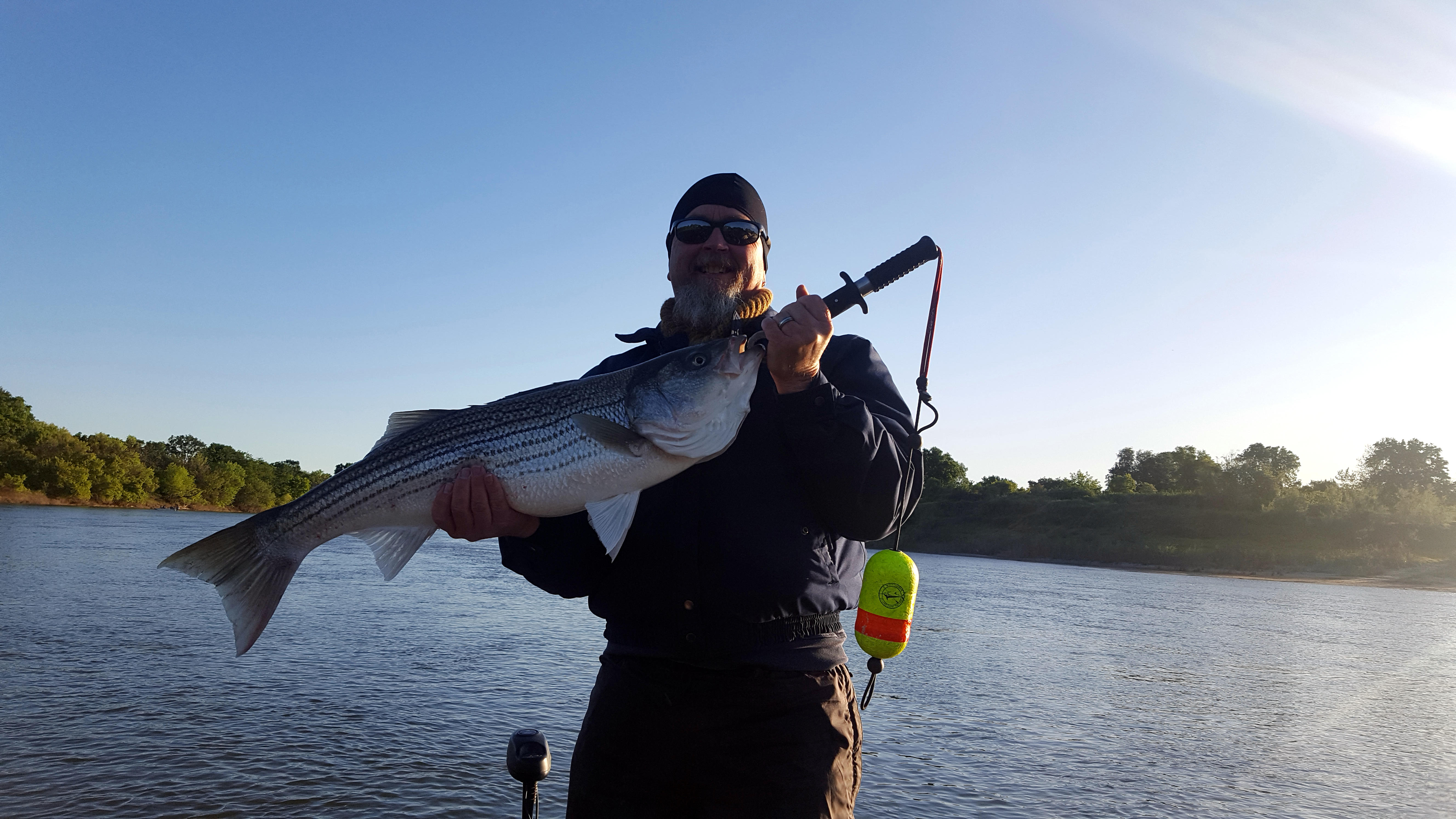 Swimbaits For NorCal Stripers – California Sportsman Mag