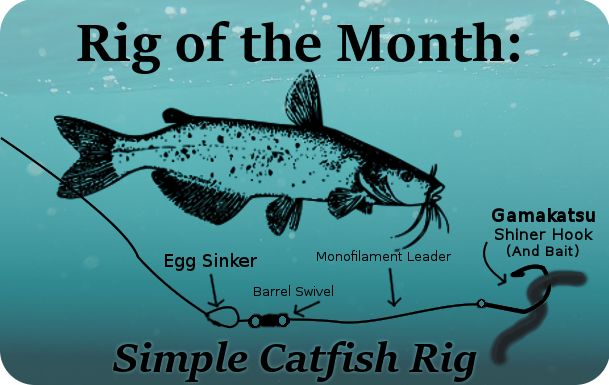 Rig of the Month– A simple Catfishing setup! – California