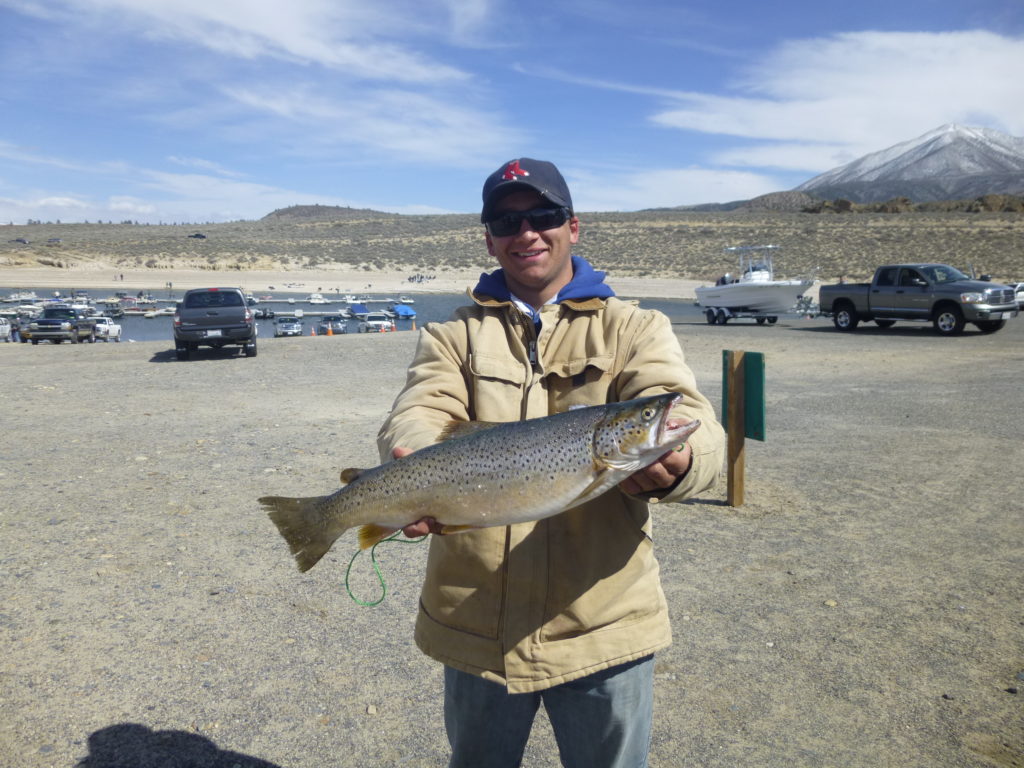 Countdown To The Trout Opener Eastern Sierra Preview