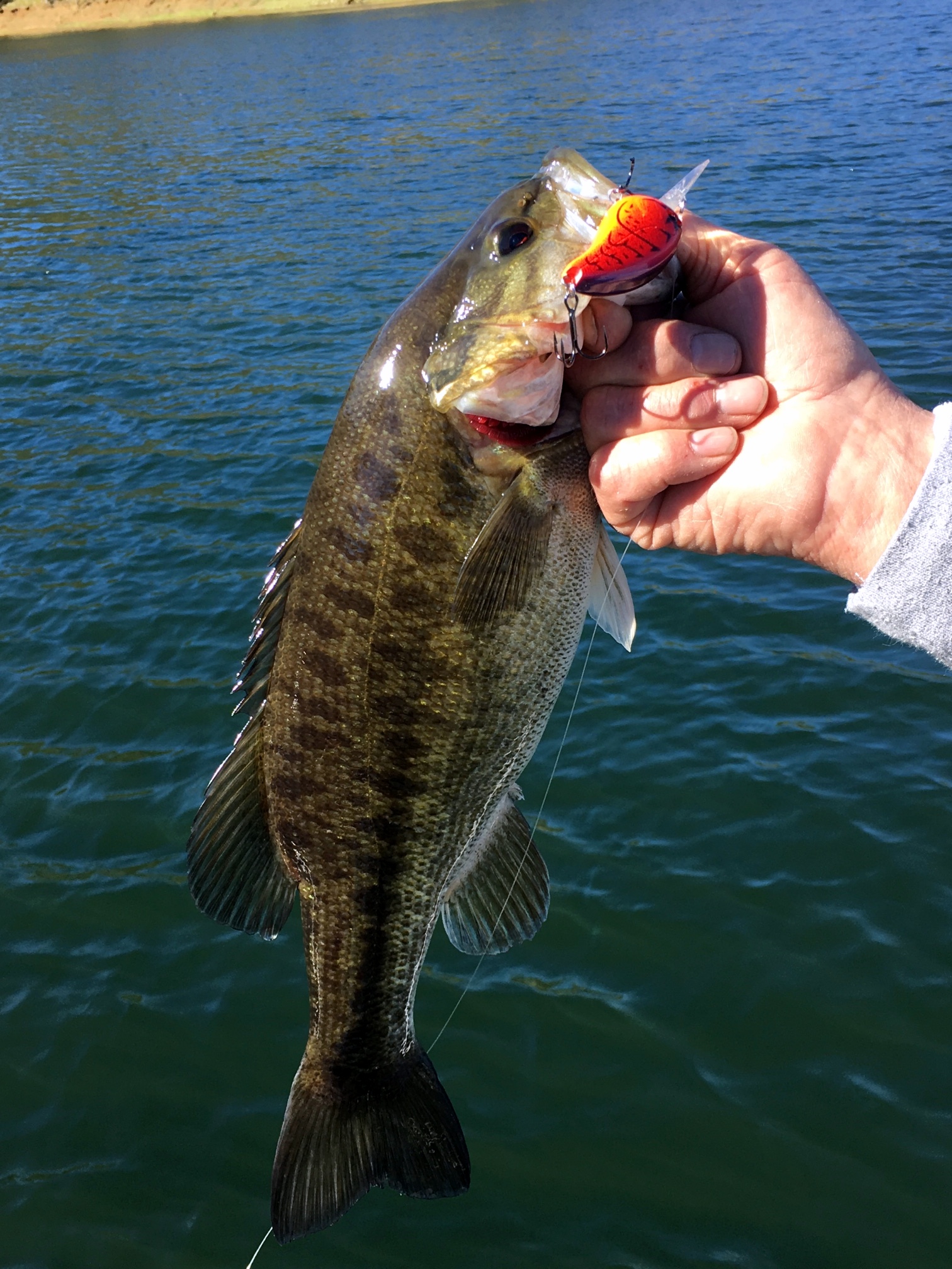 Bass Anglers Are Getting Cranky