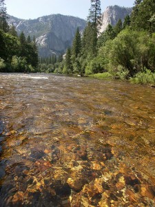 A 5 1/2-mile stretch of the Merced River will be closed to fishing. (IVOSHANDOR/WIKIMEDIA)