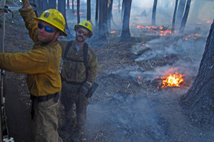 Firefighters work to help contain the Yosemite Rim Fire earlier this year. (USFWS) 