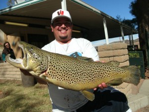 An Irvine Lake brown trout (PHOTO BY IRVINE LAKE) 