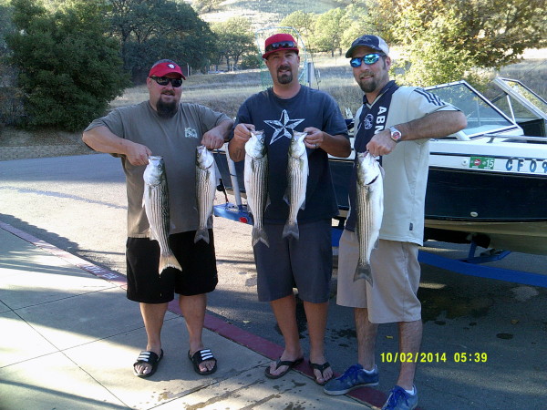 Lake Del Valle stripers (PHOTO BY LAKE DEL VALLE) 