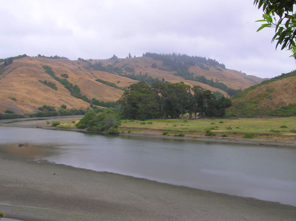 Low water on the Russian River could prompt fishing bans when its cubic feet per second level drops below 300. (FINLAY MCWALTER/WIKIMEDIA) 