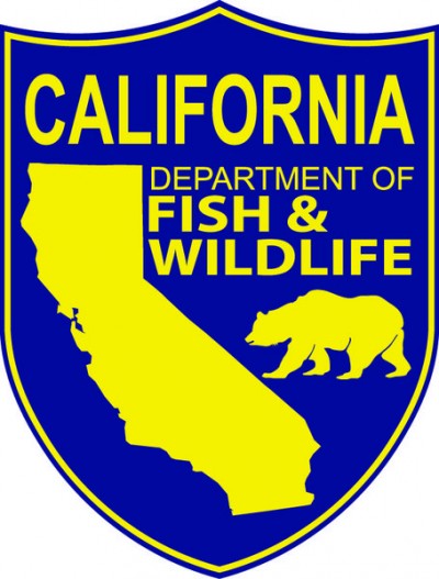 California-Department-of-Fish-and-Wildlife-400x527