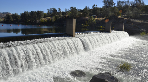 The Feather River Hatchery's fish ladder will open on Monday with salmon heading upstream to spawn. (CDFW) 