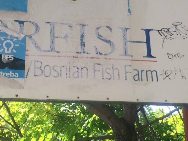 I stumbled onto the remains of a Bosnian fish hatchery next to the Buna River. 
