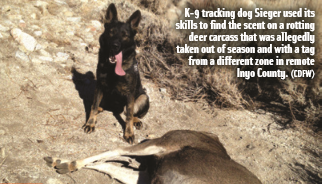 K-9 tracking dog Sieger used its skills to ?nd the scent on a rotting deer carcass that was allegedly taken out of season and with a tag from a different zone in remote Inyo County. (CDFW)