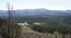 Picture of the hills of California/Oregon
