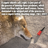A coyote whistle call (right) is just part of the process of hunting these predators, which have excellent sight and smell senses. Facing downwind is an integral part of the process to coax a coyote within shooting range. (TIM E. HOVEY)