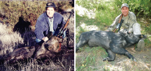 Author Tim Hovey the first and second time he shot a wild swine
