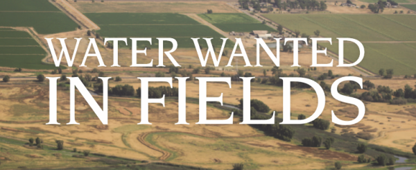 "WATER WANTED IN FIELDS" printed in white over a dry grassland
