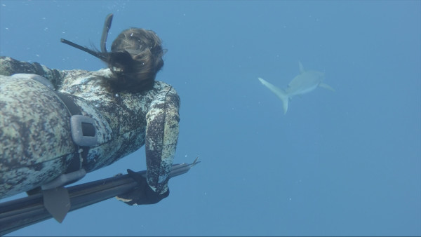Hawaii legend Kimi Werner trailing a shark underwater.