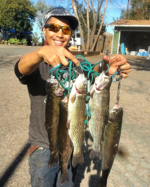 Jason Casison caught his limit of trout from the campground shoreline on Thursday. (LAKE JENNINGS) morning.