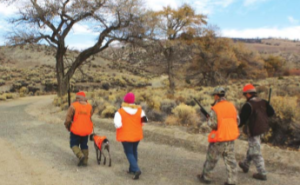 With mentors in the rear, a pair of young hunters and a trained bird dog head a?eld to test their skills on stocked ringneck pheasant. (TIM E. HOVEY) 