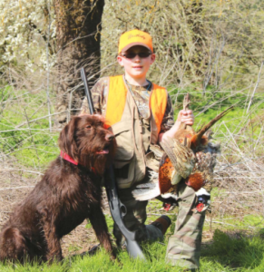 The author’s son, Kazden Haugen, with a pair of pheasants taken over Lon, a pudelpointer from Tall Timber Pudelpointers. After this hunt, the Haugens decided on this breed of dog for their family, but only after two years of researching breeds. (SCOTT HAUGEN)