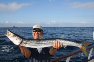 Barracuda sightings have been diminishing in recent years, but it’s hoped that even in an El Niño year that the fish will return in 2016. (STEVE CARSON) 
