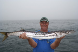 California barracuda don’t grow particularly big, but they are fun to catch and can make for a delicious meal compared to their East Coast cousins. (STEVE CARSON)