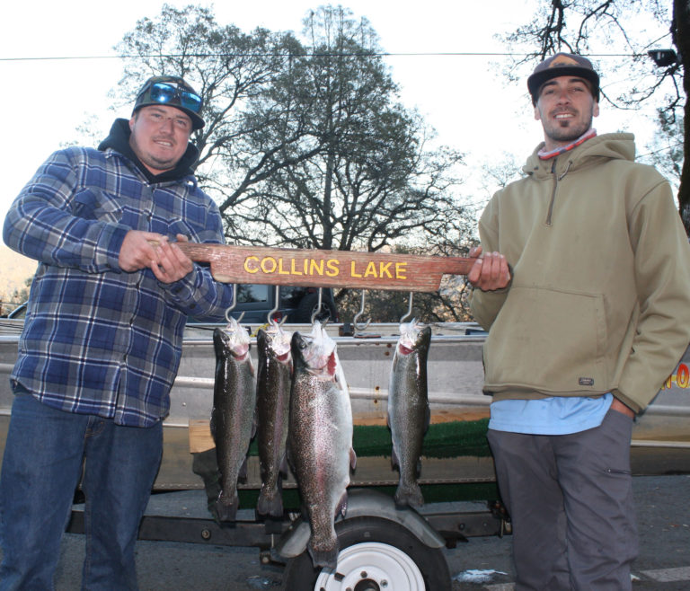Winter Fishing At Collins Lake California Sportsman Mag