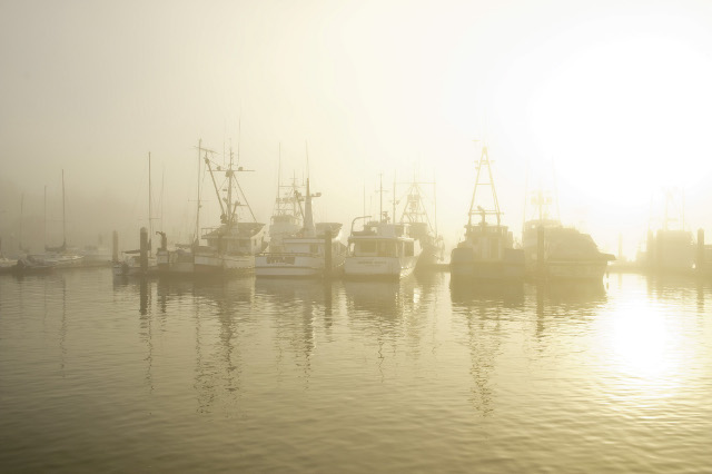 Humboldt Bay fishing fleet photo courtsey of Humboldt State University. 