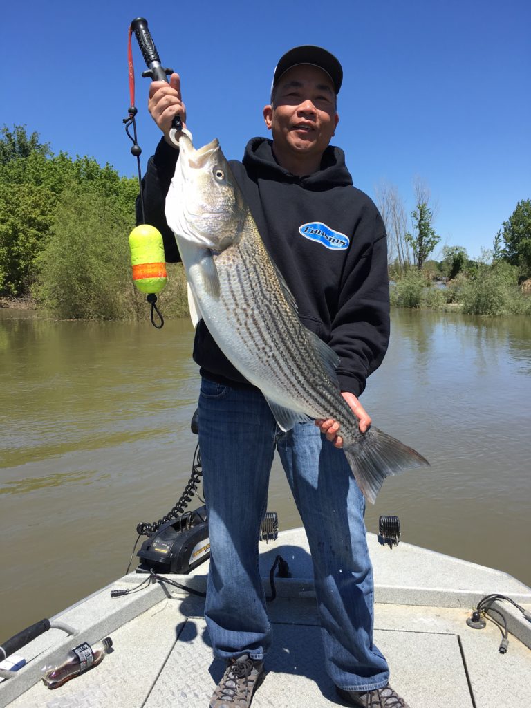 Striper Fishing Rocks On The Feather River – California Sportsman Mag