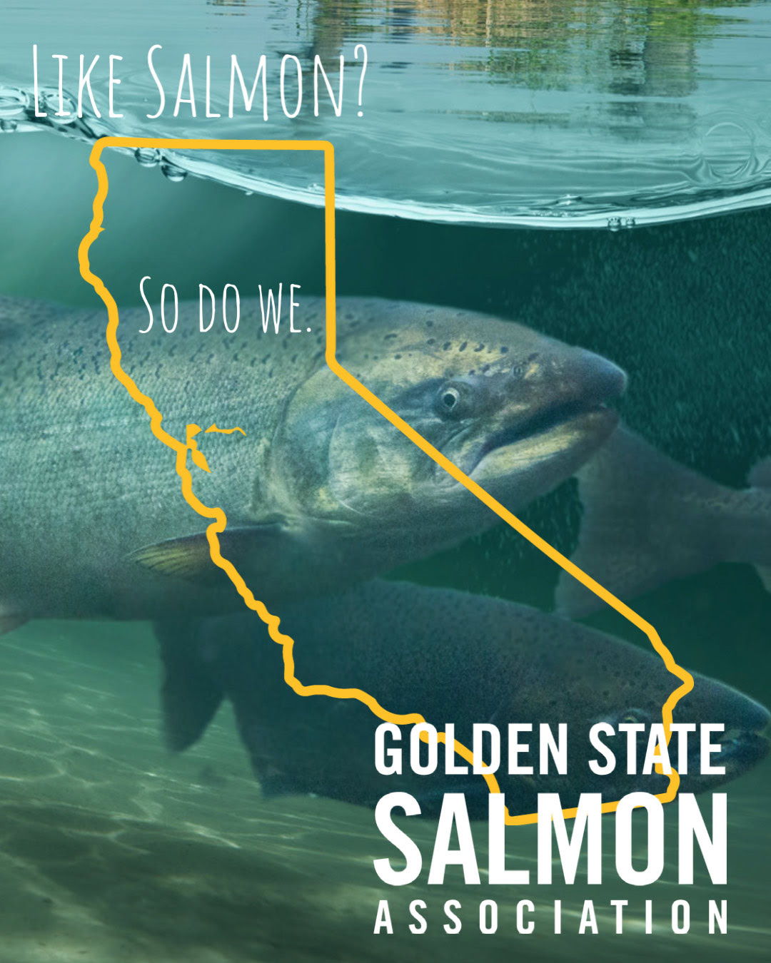 Help Preserve California Salmon By Donating To GSSA California