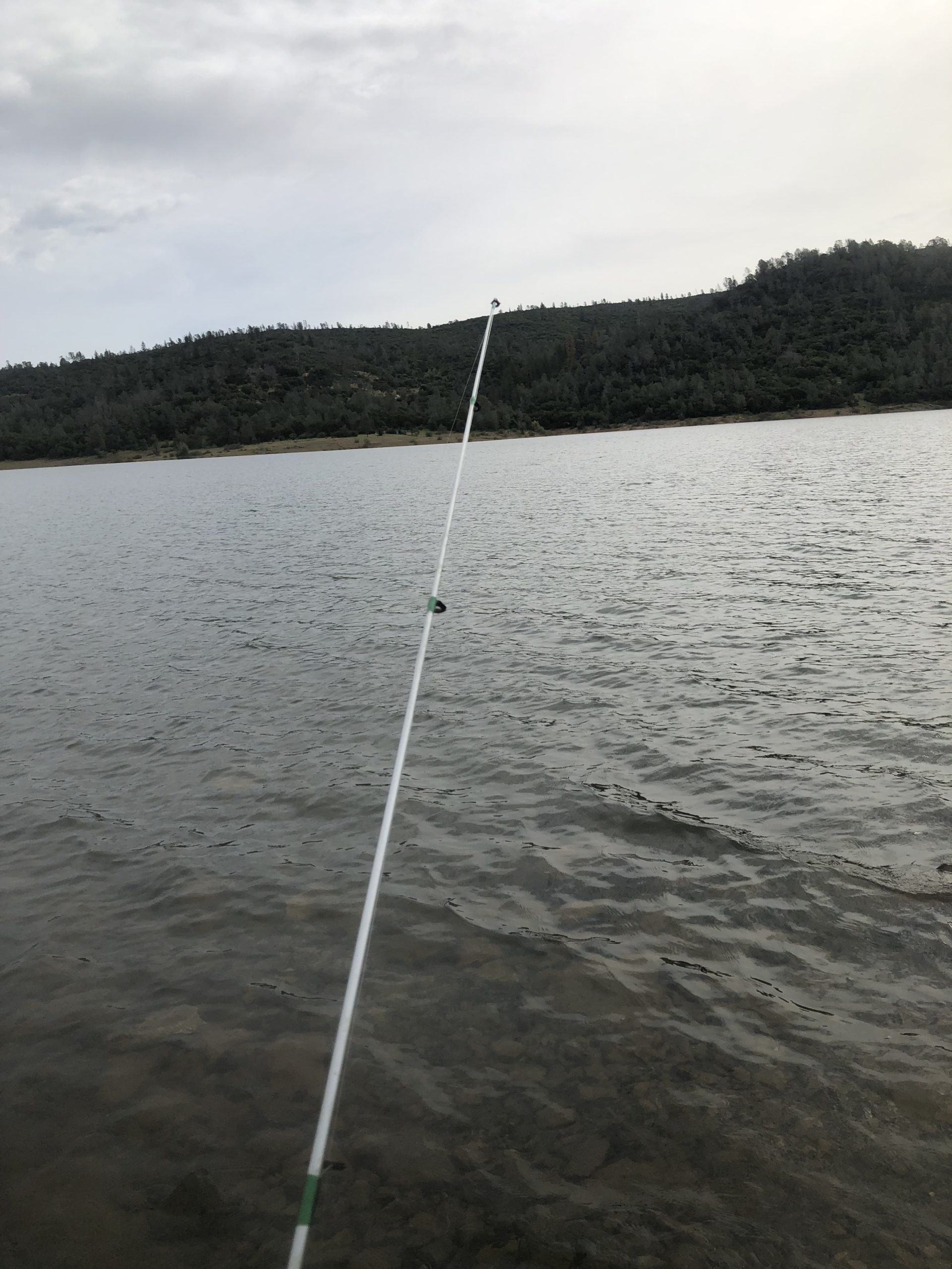 Fish On, Fish Off And Ice Cream At Collins Lake – California Sportsman Mag